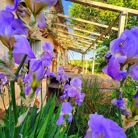 Apartment Domaine Langelet - Insolite 40