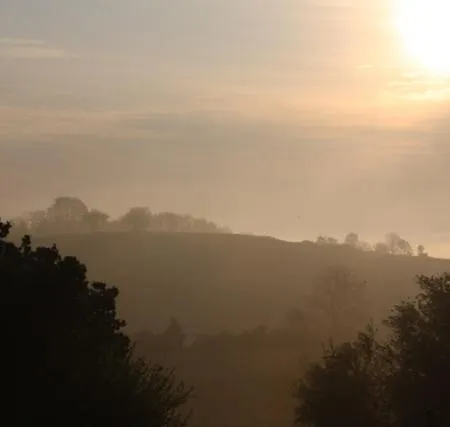 Domaine Langelet - Insolite 40