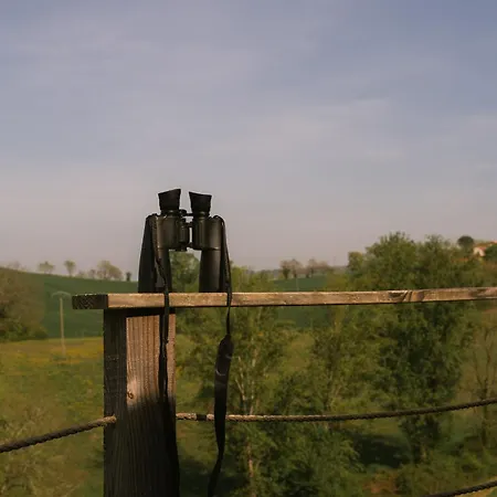 Domaine Langelet - Insolite 40