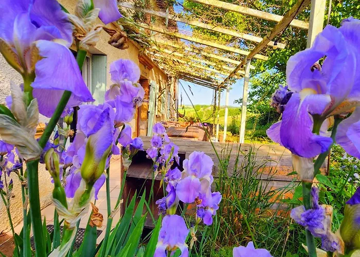 Апартаменты Domaine Langelet - Insolite 40